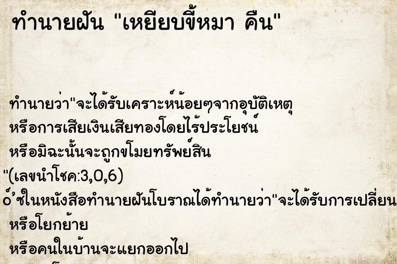 ทำนายฝัน เหยียบขี้หมา คืน ทำนายฝัน เหยียบขี้หมา คืน